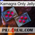 Kamagra Only Jelly 15